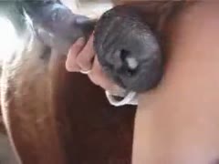 Her brother's horse is being given head by the adorable blond.